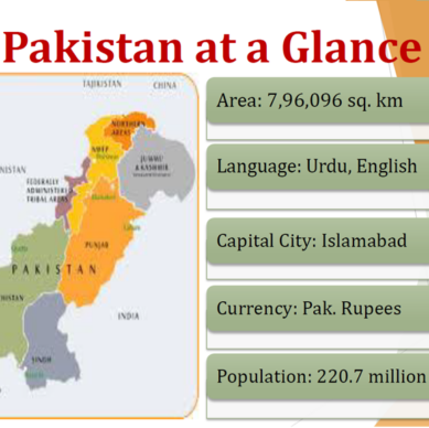 2025 0418 Pakistan vitals