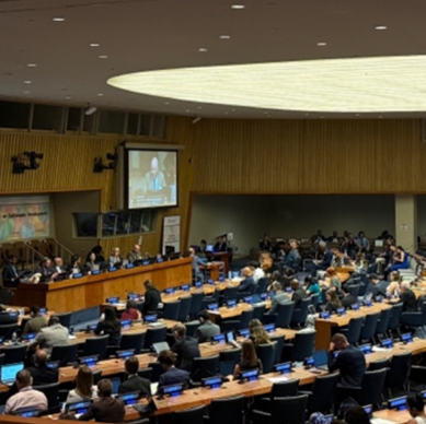 2025 1107 Melbourne 12