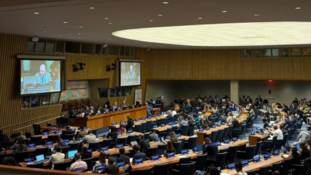 CACCI participates in Sustainable, Economic, Social, and Environmental meetings at the UN