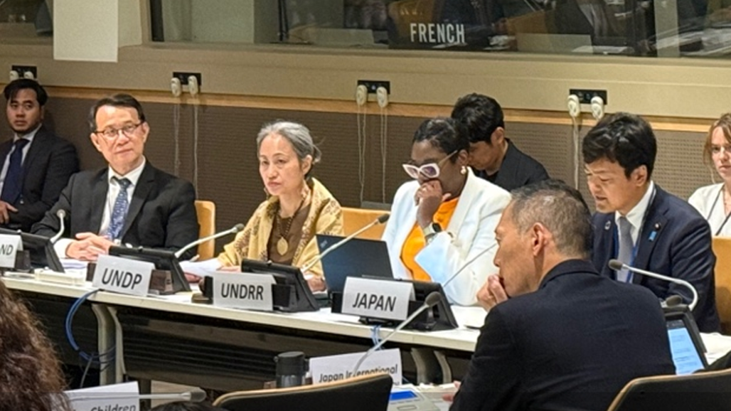 CACCI joins Sustainable Economic Growth through Disaster Risk Reduction in New York